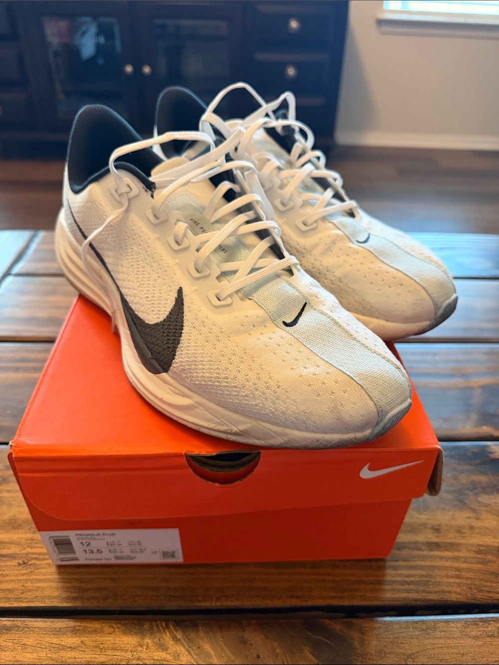 Pegasus Plus. Sz. 12